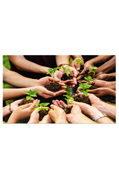 StoryGift Romania Tablou Canvas: Oameni Dedicati Protejarii Si Ingrijirii Med...