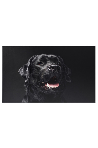 StoryGift Romania Tablou Canvas Labrador Retriever - Devotament Neconditionat