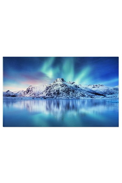 StoryGift Romania Tablou Canvas Pescarusi Atlantic Relaxandu-se In Timpul Sezonului De Imperechere Natura, Pasari