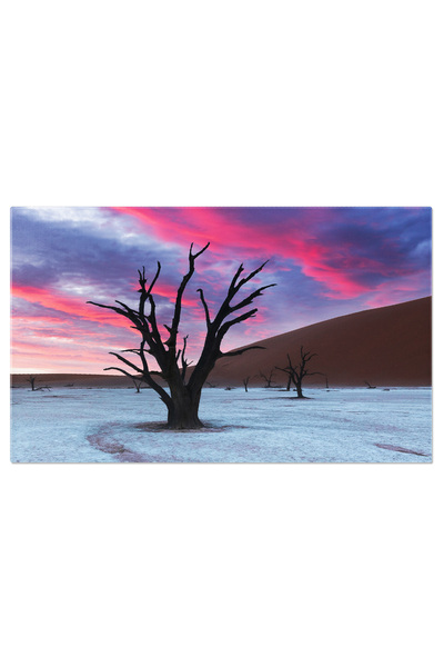 StoryGift Romania Tablou Canvas: Panorama Desertului Namib, Deadvlei - Turism...