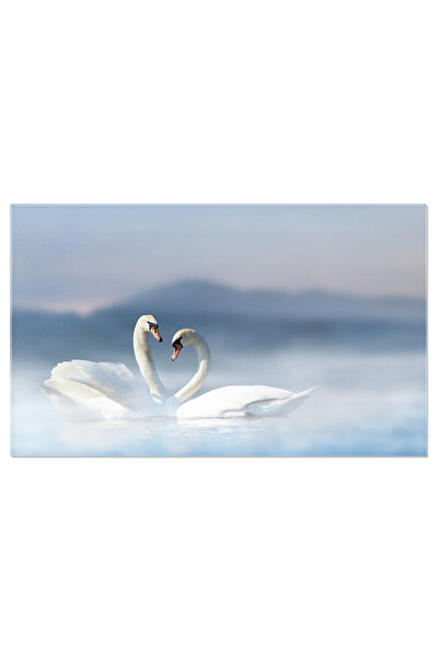 StoryGift Romania Tablou Canvas: Eleganta Naturala - Cuplu De Lebede In Apa