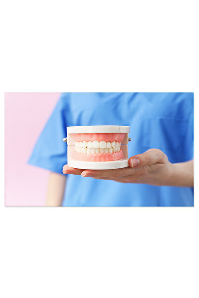 StoryGift Romania Tablou Canvas - Ingrijire Medicala: Cardiologie, Examinare ...