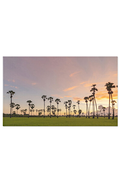 StoryGift Romania Tablou Canvas Cultivare Sustenabila Camp De Rijea Verde, Ba...