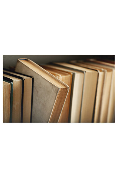 StoryGift Romania Tablou Canvas Carti Educatie Si Cunoastere Carti, Educatie,...