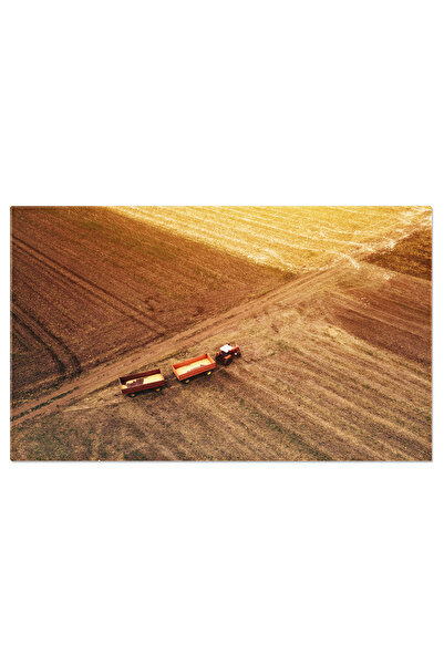 StoryGift Romania Tablou Canvas: Agricultura Moderna, Teren Cultivat, Tehnolo...