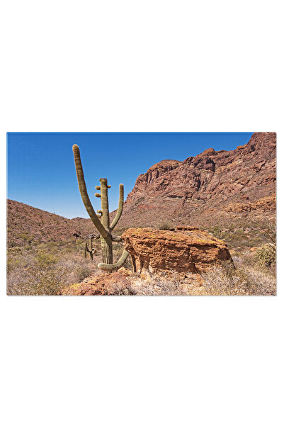 StoryGift Romania Tablou Canvas 120 X 80cm Cu Saguaro Cactus - Simbol Al Dese...