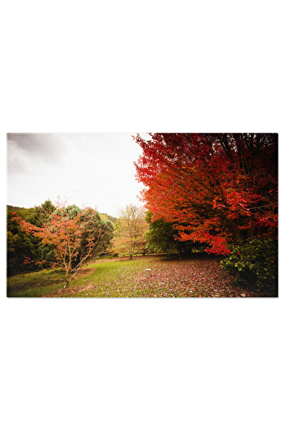 StoryGift Romania Tablou Canvas Gradini Memorial Pioneer In Sorrento, Australia Gradina, Memorial, Sorrento, Flor