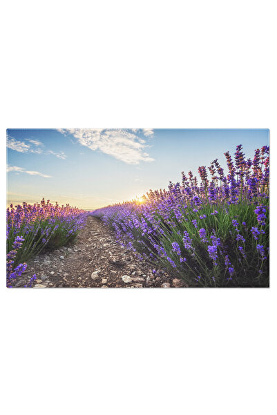 StoryGift Romania Tablou Canvas Camp De Lavanda In Flori La Apus Lavanda, Peisaj, Natura, Farmec, Violet. 1058