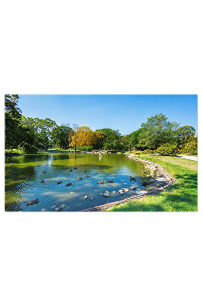 StoryGift Romania Tablou Canvas Lac La Gradinile Palatului Krasinski, Varsovia, Polonia, Arhitectura, Capitala, O