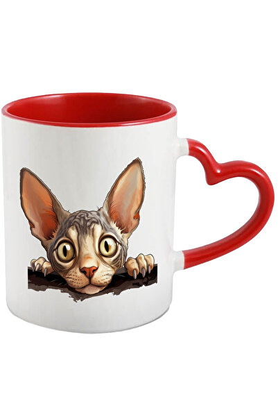 StoryGift Romania Cana cu o pisica Sfinx | se uita cam trista | ilustratie | ...