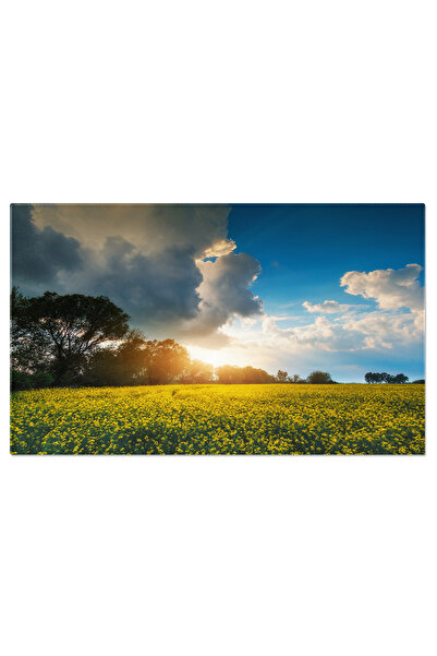 StoryGift Romania Tablou Canvas Cu Camp De Rapita In Furtuna - Energie Naturala