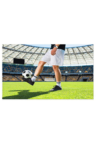 StoryGift Romania Tablou Canvas - Jucator De Fotbal Pe Teren - Sport, Exercitiu, Masculin