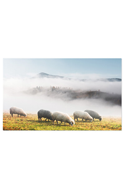 StoryGift Romania Tablou Canvas - Oi In Munte Pe Ceata: Sheeps, Foggy, Mounta...