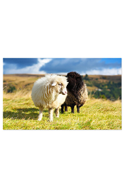 StoryGift Romania Tablou Canvas: Viata Rurala In Carpatii Romaniei - Peisaje ...