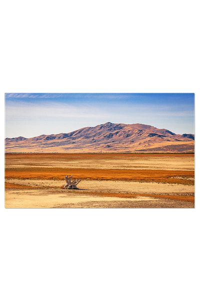 StoryGift Romania Tablou Canvas: Zi Luminoasa In Desertul Great Salt