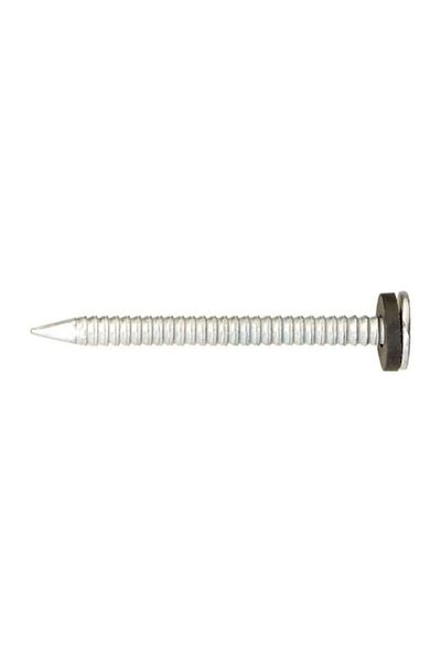 ACE Roofing Nails with Neoprene Washer Ring Shank 2 Inch