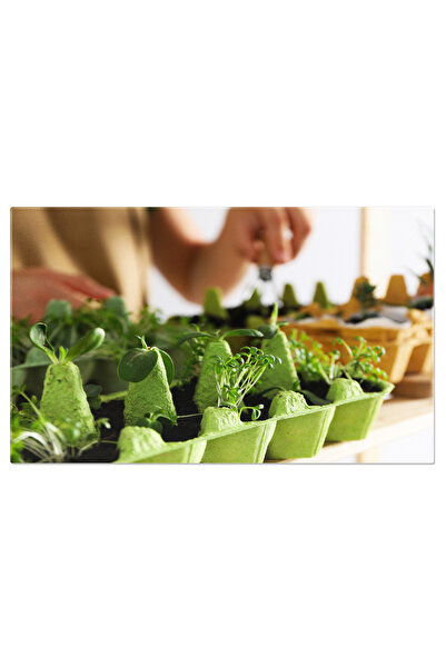 StoryGift Romania Tablou Canvas Cu Reciclare Si Agricultura: Mediu, Plante Si...