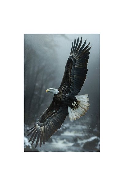 StoryGift Romania Tablou Canvas: Vulturul Care Planează Deasupra Tuturor - Înălțimea Libertății Pictura Digitala