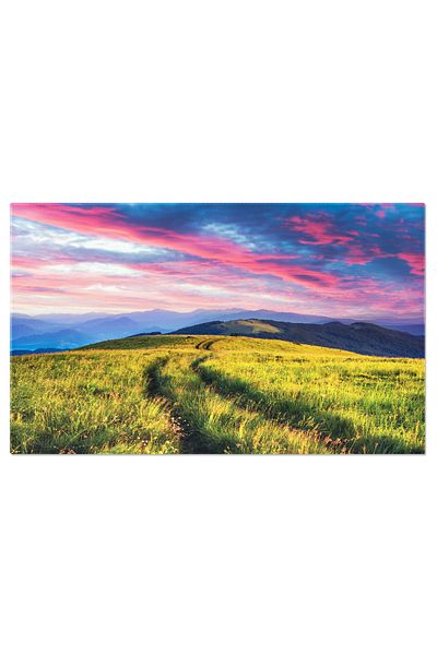 StoryGift Romania Canvas Print Running Dogs Dog, Running, Race, Training, Sport 3823