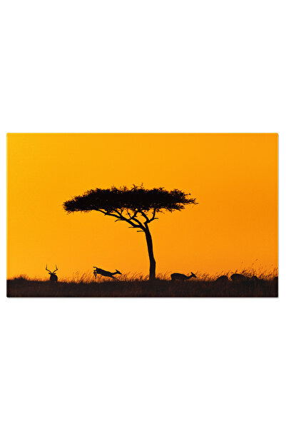 StoryGift Romania Tablou Canvas Impala Sarind La Apusul African Aurit, Africa...