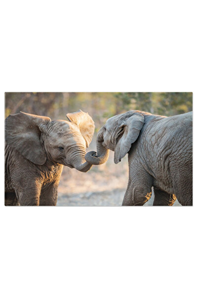 StoryGift Romania Tablou Canvas: Intalnire Cu Elefantii In Inima Naturii - Sa...