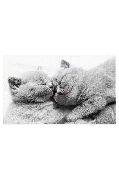 StoryGift Romania Tablou Canvas Cu Pui De Pisica Somnoros - Dragoste Si Caldu...