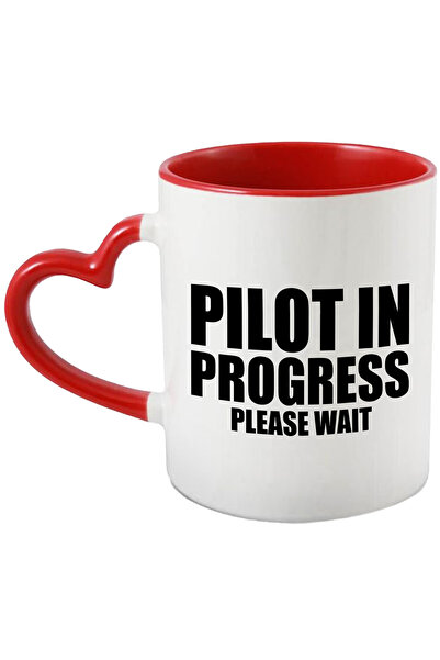 StoryGift Romania Cana Pentru Cei Care Vor Deveni Piloti - Avioane Zboruri Ce...