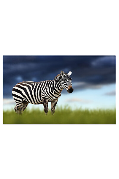 StoryGift Romania Tablou Canvas - Eleganta Salbatica A Zebrilor In Savana Africana