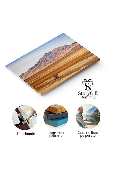 StoryGift Romania Tablou Canvas: Zi Luminoasa In Desertul Great Salt