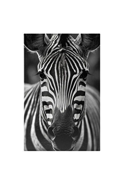 StoryGift Romania Tablou Canvas: Zebra - B&w Salbaticie Animal Salbatic Pictu...