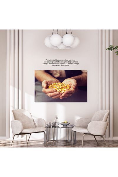 StoryGift Romania Tablou Canvas Productia Organica De Porumb Maini Incarcate Cu Boabe De Porumb Proaspat Recolta