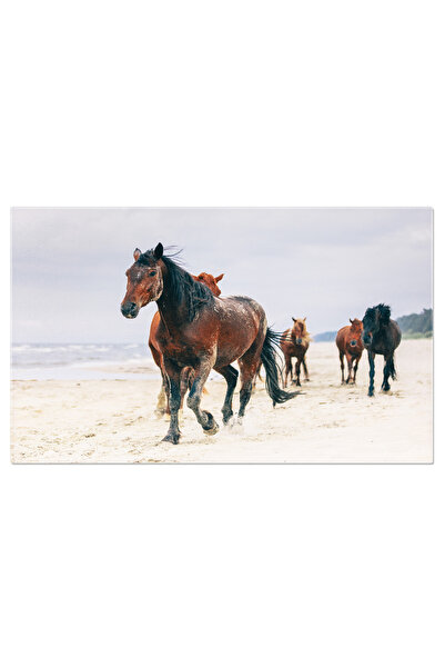 StoryGift Romania Tablou Canvas: Cai Salbatici Pe Plaja Marii - Pasunat In Pa...