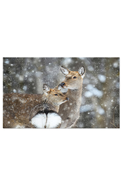 StoryGift Romania Tablou Canvas - Cerbii In Peisajul De Iarna: Natura Cu Cerb...