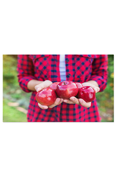 StoryGift Romania Tablou Canvas Culegerea Fructelor In Gradina - Sanatate Si Prospat