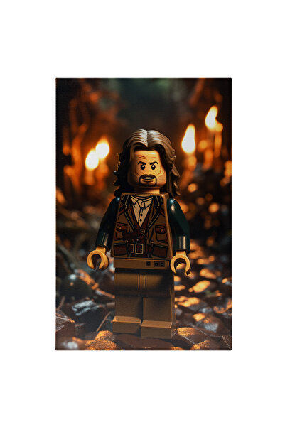 StoryGift Romania Tablou Canvas: Personaj Lego Din Harry Potter Cu Parul Lung...