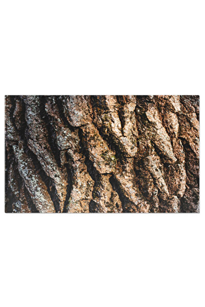 StoryGift Romania Tablou Canvas - Parc De Vara Cu Textura De Lemn Natural - N...