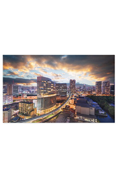 StoryGift Romania Tablou Canvas 120 X 80cm - Gradina Rikyu Si Vedere Aeriala ...