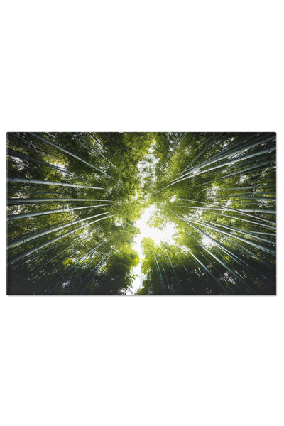 StoryGift Romania Tablou Canvas - Padure Bamboo Arashiyama, Verdeata Si Ecologie