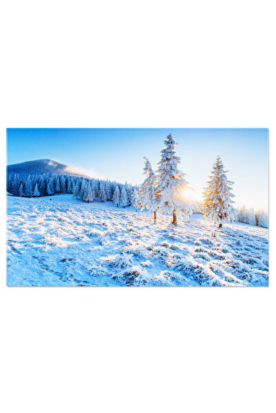 StoryGift Romania Tablou Canvas: Peisaj Iarna Cu Bruma - Raze De Soare
