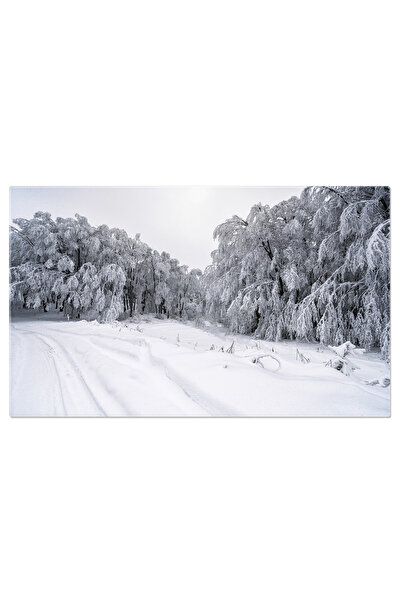 StoryGift Romania Tablou Canvas Iarna Fermecata Cu Zapada, Copaci Si Peisaj I...