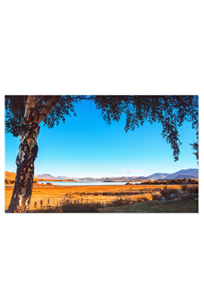 StoryGift Romania Tablou Canvas Padure De Toamna In Munti Toamna, Natura, Pad...