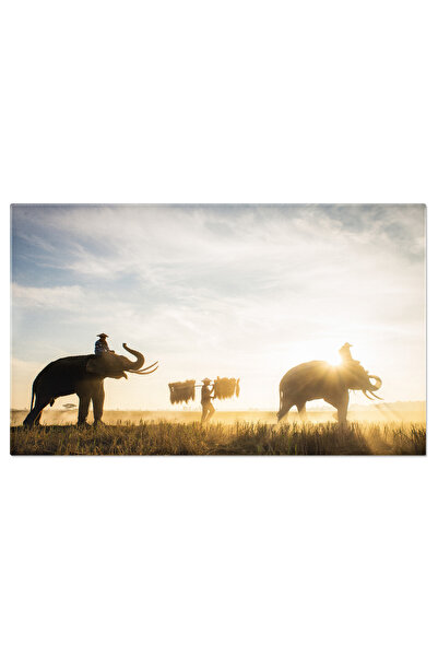 StoryGift Romania Tablou Canvas Elefanti La Rasarit In Pustietatea Thai Agro-...