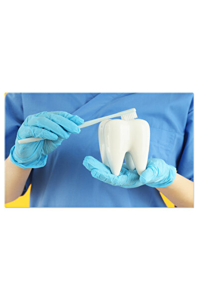 StoryGift Romania Tablou Canvas - Tratament Stomatologic, Curatare Molar, Teh...