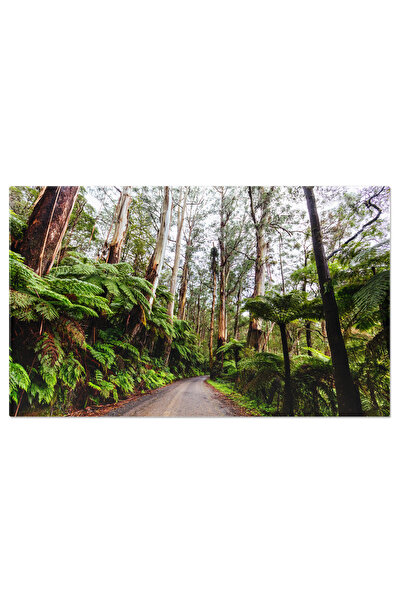 StoryGift Romania Tablou Canvas Drumul Don In Victoria, Australia Don Rd, Pei...