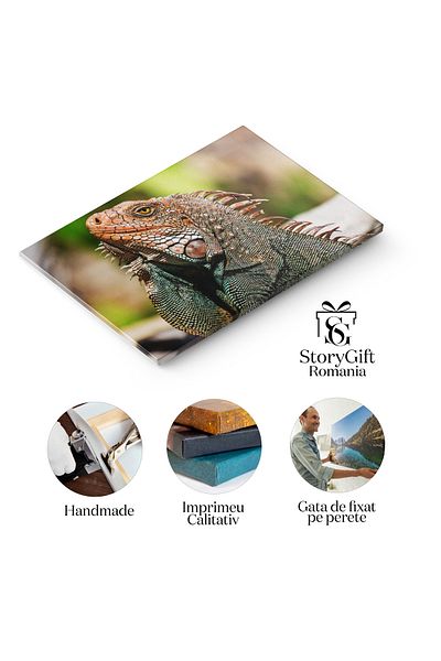StoryGift Romania Tablou Canvas: Iguana Dragon Din Antilele Centrale - Reptila Colorata