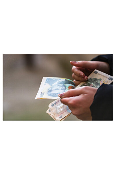 StoryGift Romania Tablou Canvas - Bancnote Europene, Focalizare Pe Lei, Aface...