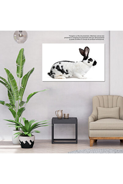 StoryGift Romania Tablou Canvas: Intelepciune In Ochi - Portret De Iepure