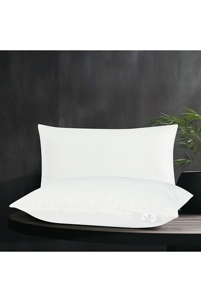 HOURS Royal Garden Hotel 2-Piece Slow Rebound Pillow Set