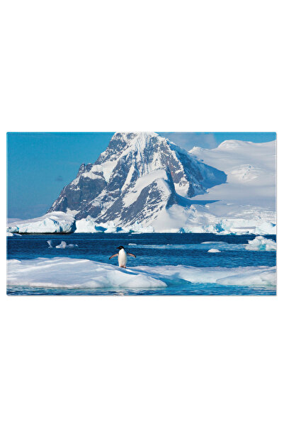StoryGift Romania Tablou Canvas: Pinguin Pe Gheata, In Natura, Zapada, Munte