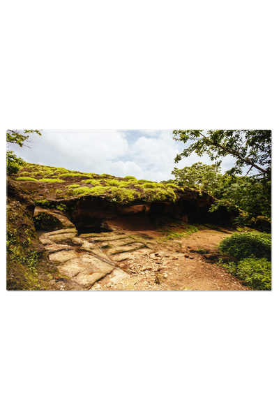 StoryGift Romania Tablou Canvas Parcul National Sanjay Gandhi, India, Peisaj ...